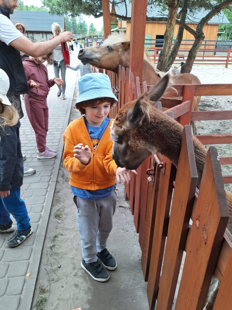 karmienie zwierząt