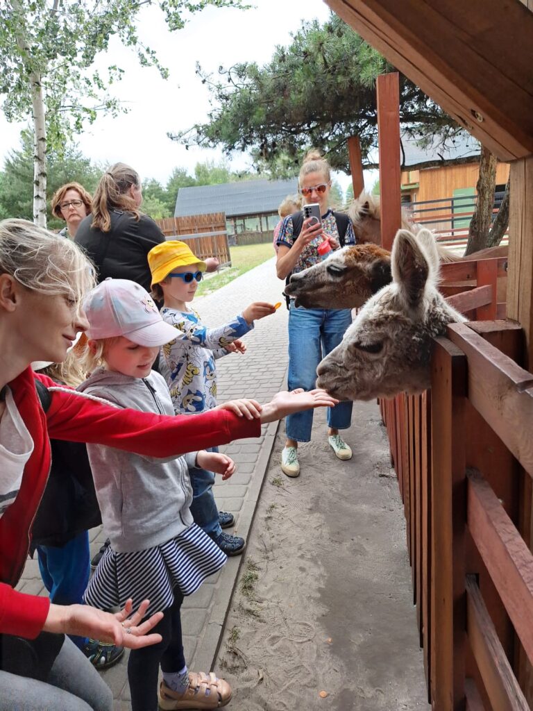 karmienie zwierząt