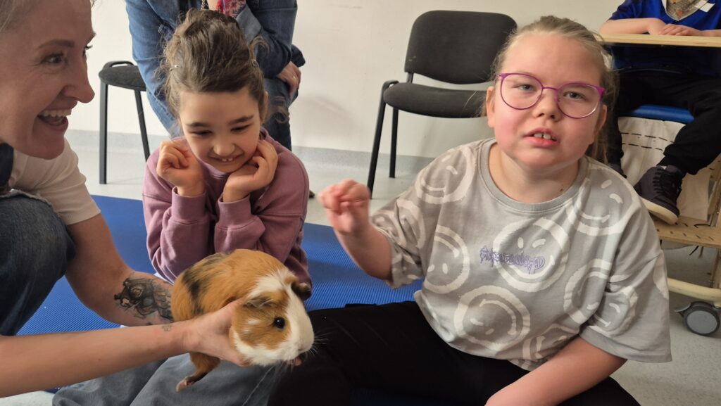 dziewczynki ze świnka morską