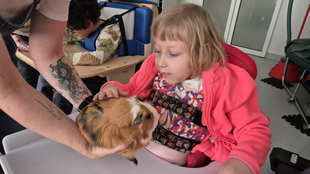 dziewczynka ze świnką morską