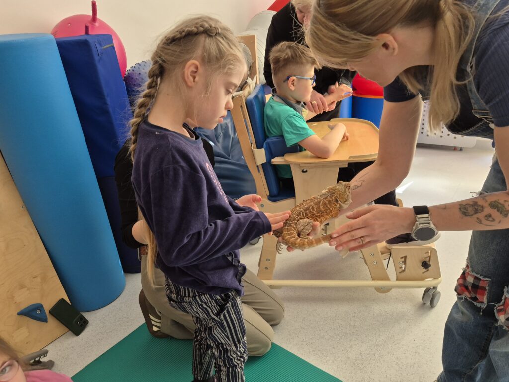 dziecko dotyka jaszczurkę