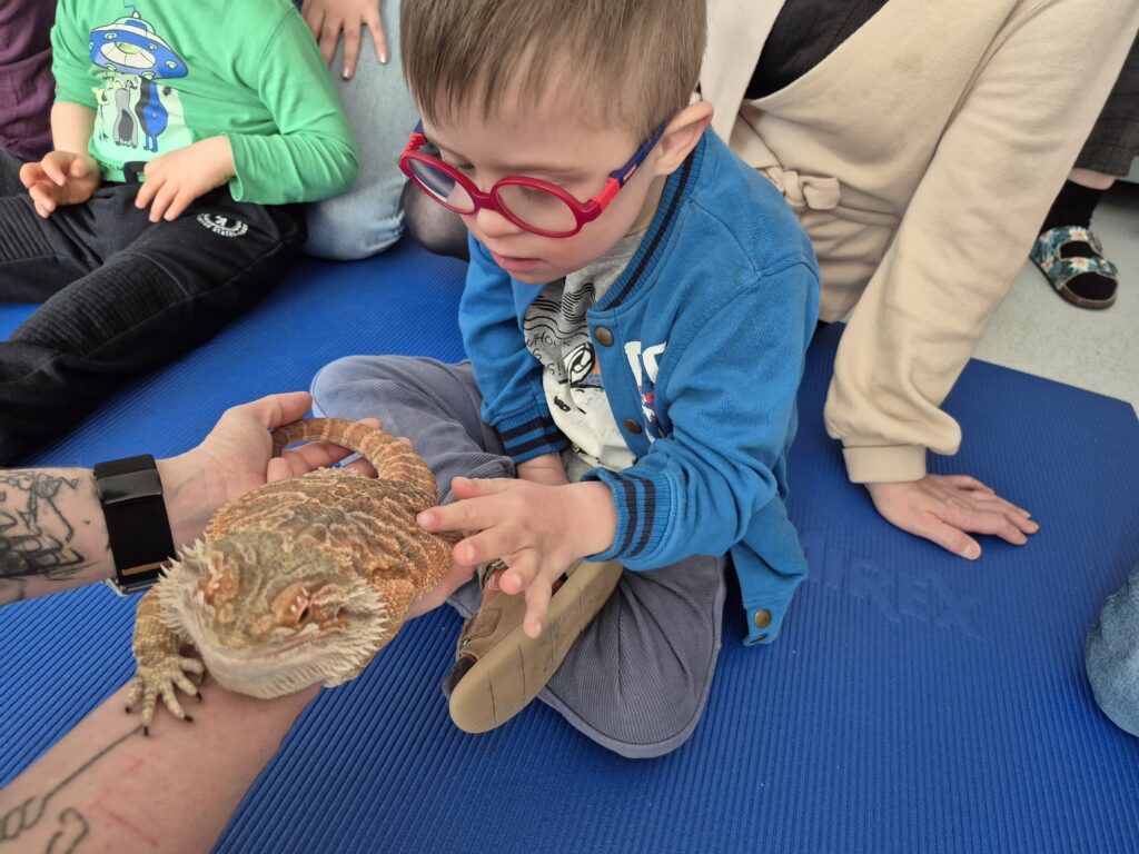 dziecko dotyka jaszczurkę