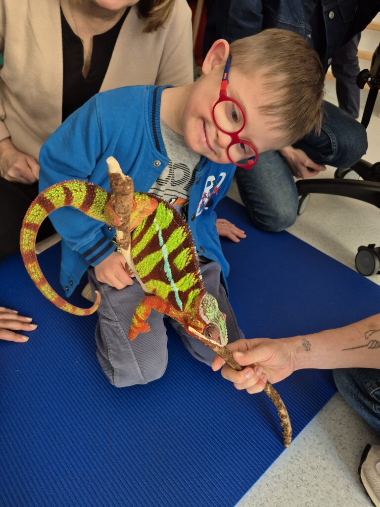 dziecko dotyka jaszczurkę