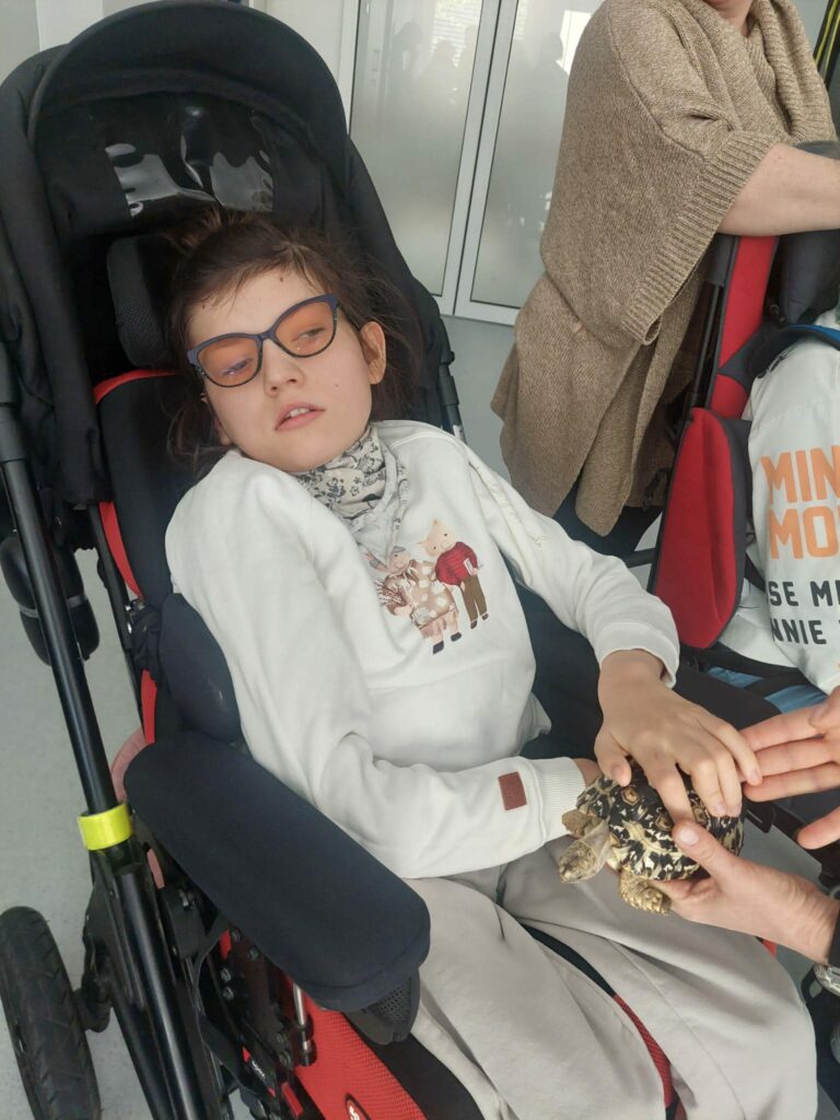 dziecko dotyka żółwia